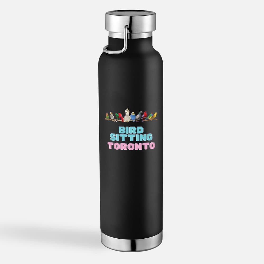 BST Insulated Tumbler — Black