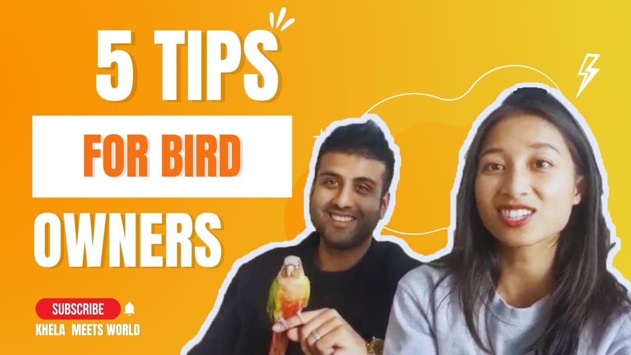 Top 5 Tips for Bird Owners | Khela Meets World | Bird Sitting Toronto