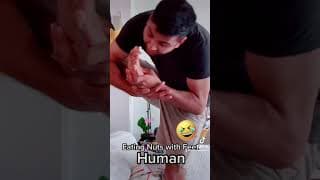 #SHORTS – Conure vs. Human